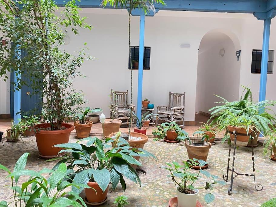 Hispalis Casa Pilatos Sevilla Exteriér fotografie